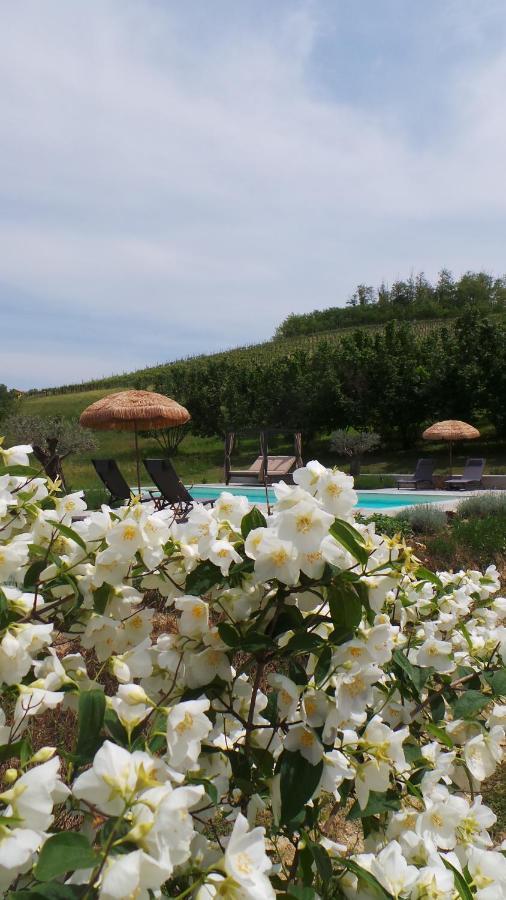 Sotto La Vigna Charm Stay Adults Only Vacation Suite Montegrosso dʼAsti Exterior foto