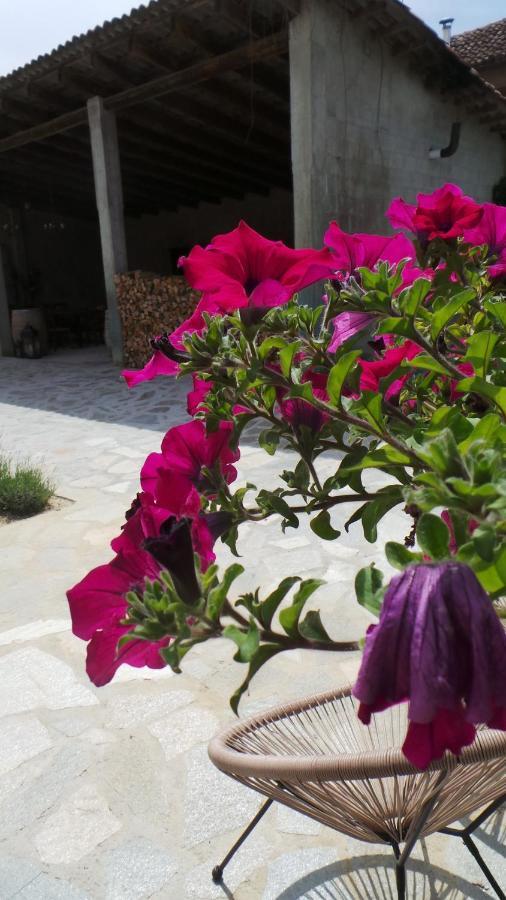 Sotto La Vigna Charm Stay Adults Only Vacation Suite Montegrosso dʼAsti Exterior foto